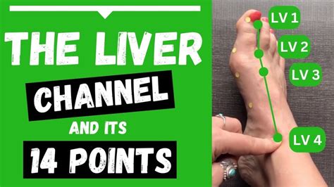 liver meridian acupuncture points